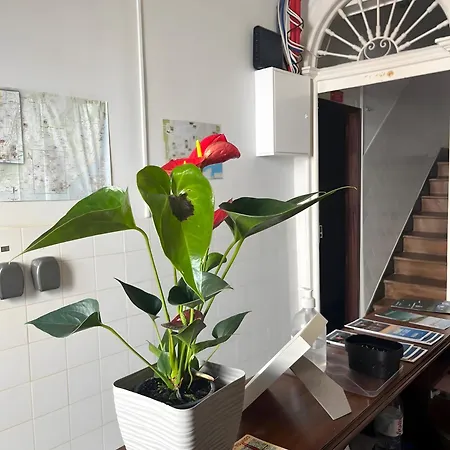 Apartment Amoreiras Lisbon