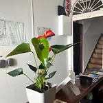 Apartment Amoreiras Lisbon